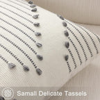 Mecatny Boho Outdoor Throw Pillow Covers 18x18 Set of 2 Grey & Cream White