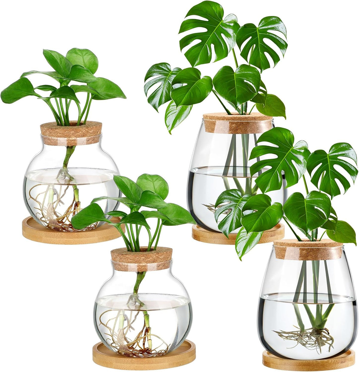 Layhit 4 Pcs Plants Propagation Stations vases Glass Planters with Wooden Lid and Bamboo Stand for Hydroponic Plants Gardening Gifts for Women Mom Home Office Tabletop Decoration(Classic Style)