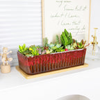 Succulent Pots, 12'' Long Rectangle Planters with Tray, Windowsill Planter