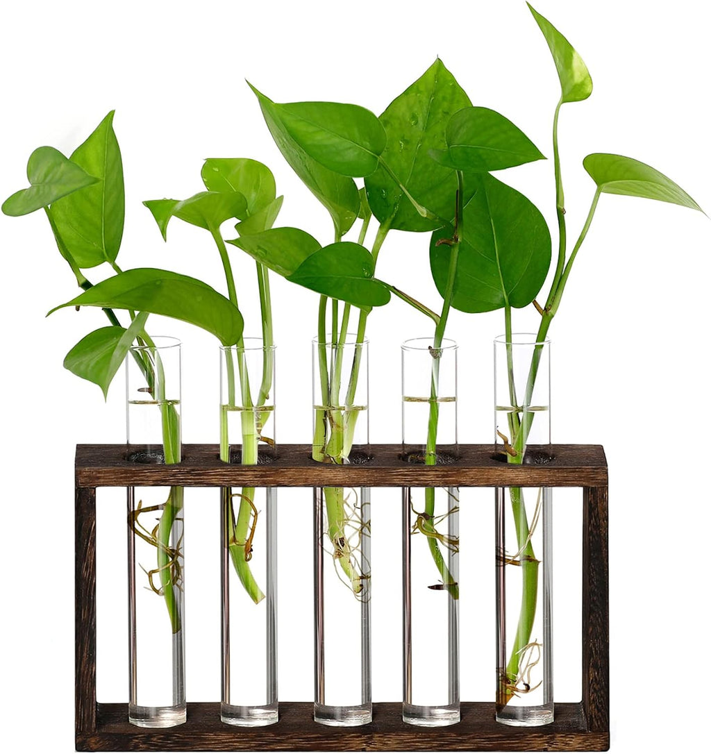 XXXFLOWER 5Test Tube Plant Propagation Station Plant Terrarium Wooden Stand