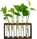 XXXFLOWER 5Test Tube Plant Propagation Station Plant Terrarium Wooden Stand