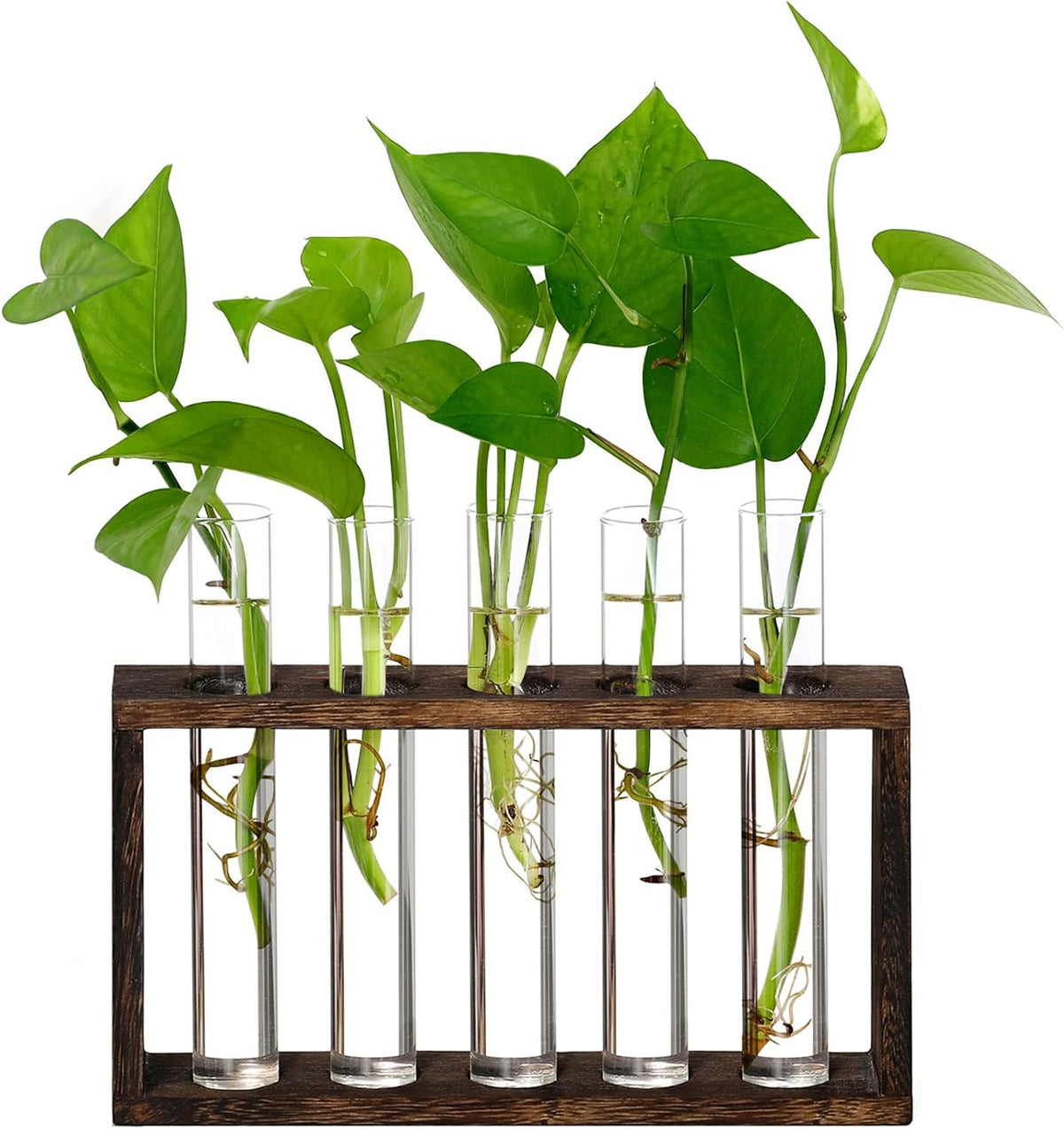XXXFLOWER 5Test Tube Plant Propagation Station Plant Terrarium Wooden Stand