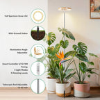 Full Spectrum Grow Lights for Indoor Plants&Home Décor.