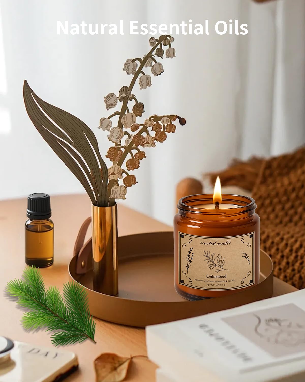 Candles for Home Scented, 16oz Large Jar Scented Candle – Cedarwood Soy Wax Candle with 100 Hour Burn Time, Long Lasting Aromatherapy Candle for Cozy Home Fragrance, Relaxation & Decorative Gift