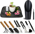 11Pcs Succulent Tools, Mini Garden Tools, Plant Repotting Set(No Flowerpot)