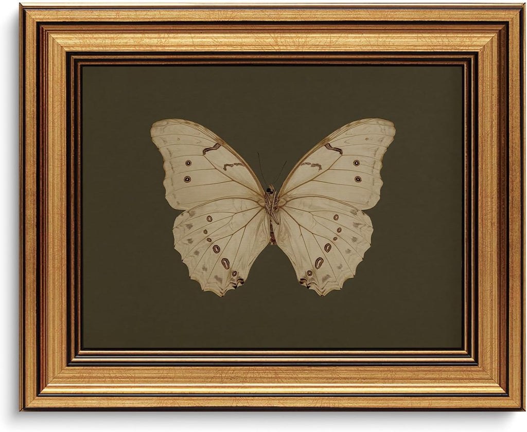 Vintage Butterfly Wall Art Gold Framed Canvas Print 8x10 inch