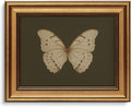 Vintage Butterfly Wall Art Gold Framed Canvas Print 8x10 inch