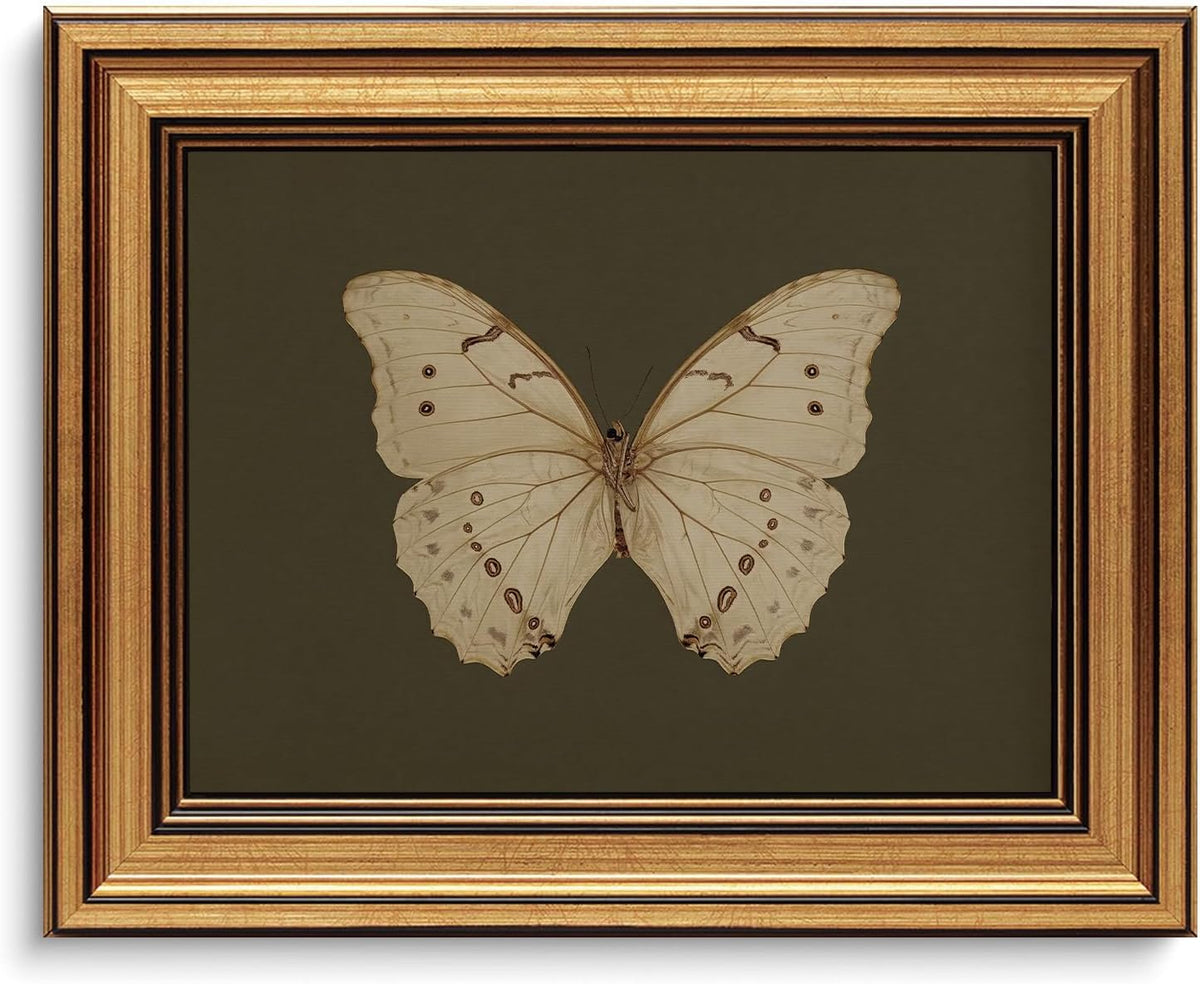 Vintage Butterfly Wall Art Gold Framed Canvas Print 8x10 inch