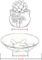 6 Pack Clear Small Tray for Succulent planters Plastic Plant Saucer Sturdy Pot Tray,Plant Water Catcher Clear Thick Plastic Heavy Duty Plant Sturdy Saucer Drip Trays for pots (6 INCH)