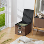File Organizer Box with Lids, Collapsible File Folder Organizer