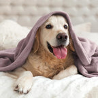 BEDELITE Fleece Blanket Twin Size Dusky Violet Throw Blankets - Image 7