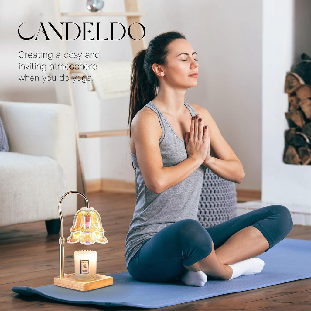 Candeldo Candle Warmer Lamp with Timer, Iridescent Floral Glass Shade