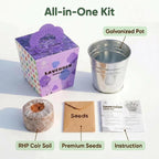 Lavender Grow Kit, All-in-One Indoor Flower Garden Starter Kit with Conical Metal Planter, Complete Growing Set for Gardening Enthusiasts, Windowsill Home Gardening