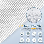 2 Pack Filter Replacement for Hynik Alviera HH001 Air Puri-fier