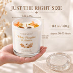 Pumpkin & Amber Scented Candle, 11.3 Oz Soy Wax Fall Candle Gift for Women
