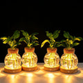 Plant Propagation Station with Light,Everkeen Glass Terrarium with Stepless Dimming Function Hydroponic Glass Container Vase Jars Gardening Gifts for Mom Women Plant Lovers 4 Pack