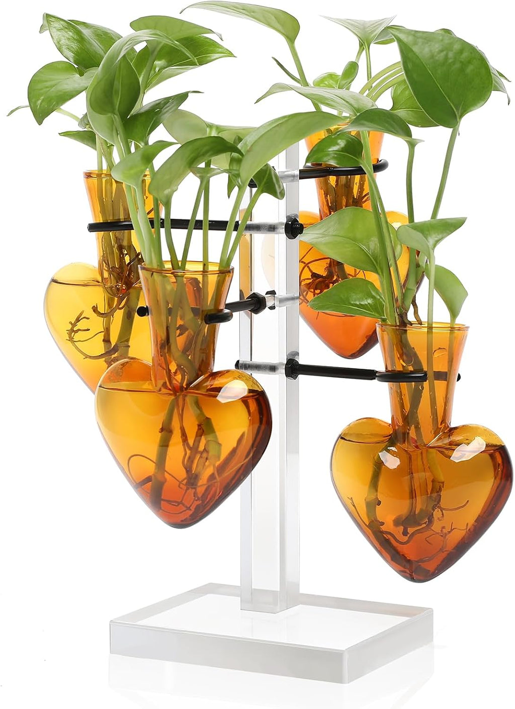 Plants Propagation Stations Plant Terrarium Kit Gift for Women