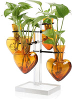 Plants Propagation Stations Plant Terrarium Kit Gift for Women
