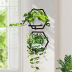 3Pcs Floating Wall Shelves Plant Holders, 7.9inch Wall Mounted Plant Stand