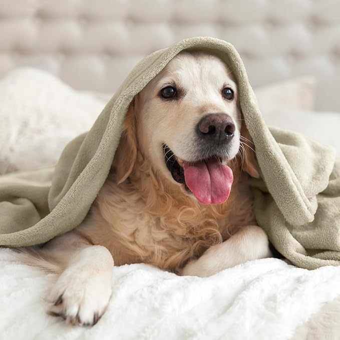BEDELITE Fleece Blanket Twin Size Oat Linen Throw Blankets - Image 7