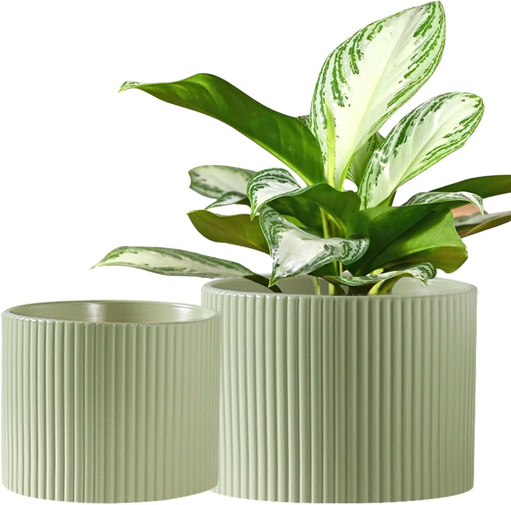 Ceramic Plant Pots, 8.1 + 6 Inch Planters for Indoor Plants, Modern Flower Pots for Plants with Drainage, Medium Cylinder Flower Pots for Indoor Plants, House Plants, Matte White