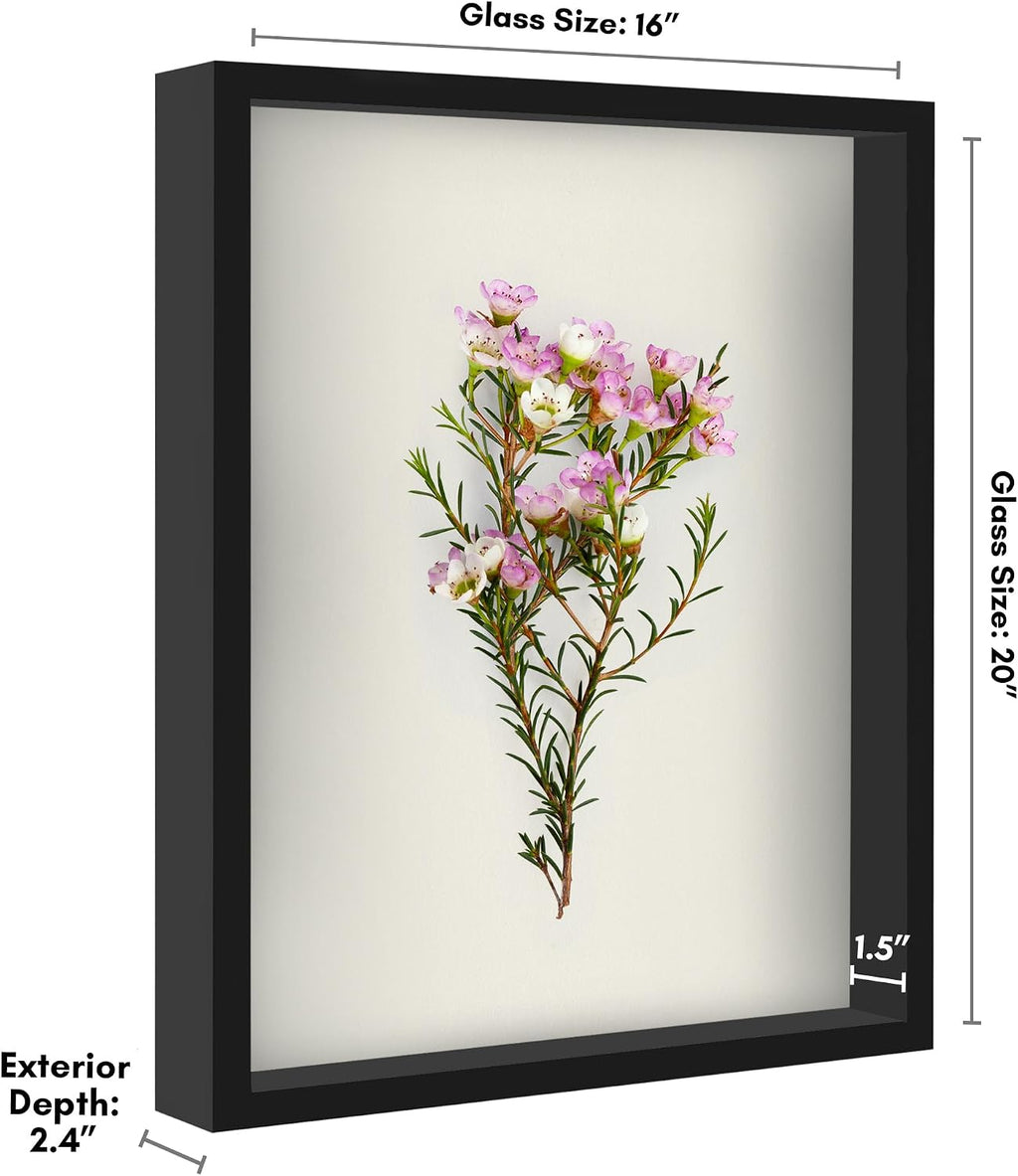 Americanflat 16x20 Shadow Box Frame - Engineered Wood - Black