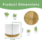 Howdy Western Plant Pots Succulent Planters