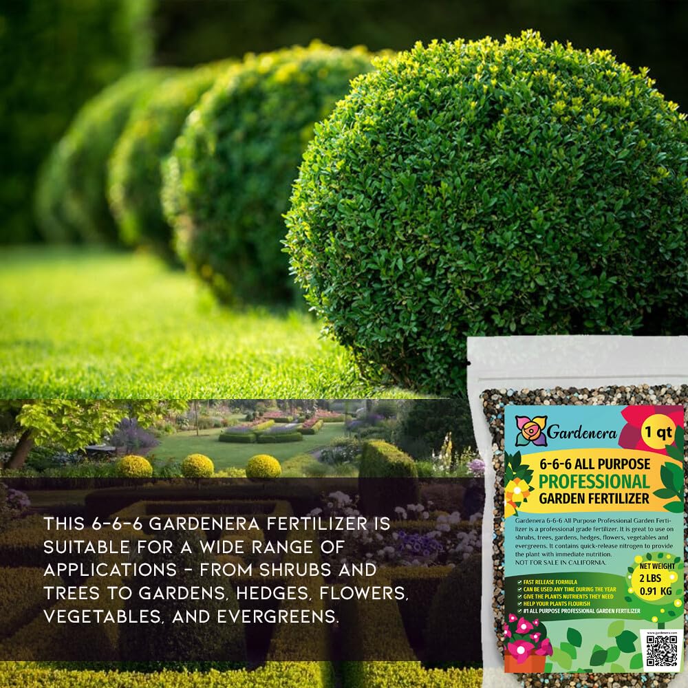 Gardenera 6-6-6 All-Purpose Professional Plant Food Fertilizer | Ideal for Winter Care & Spring Feeding, Perfect Balanced NPK for Indoor and Outdoor Plants [16 OZ]