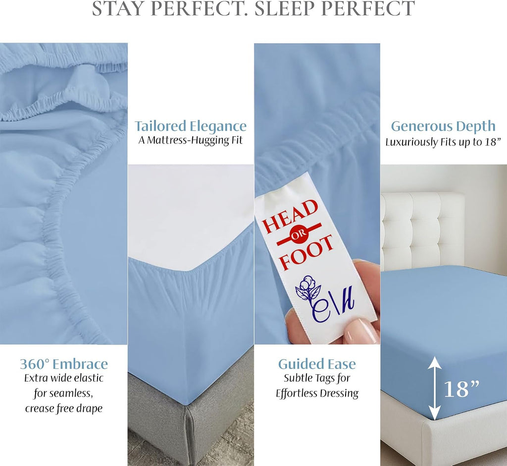 CharlottelyHues Sheet Set 4 Piece 100% Egyptian Soft Cotton King (Sky Blue)