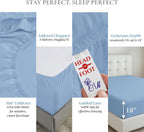 CharlottelyHues Sheet Set 4 Piece 100% Egyptian Soft Cotton King (Sky Blue)