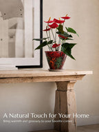 Ceramic Planter with Saucer, 10" x 7.5" Outer Rim, Red and Green