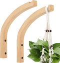 2 Pack 8 Inch Wall Mount Plant Hanging Hooks