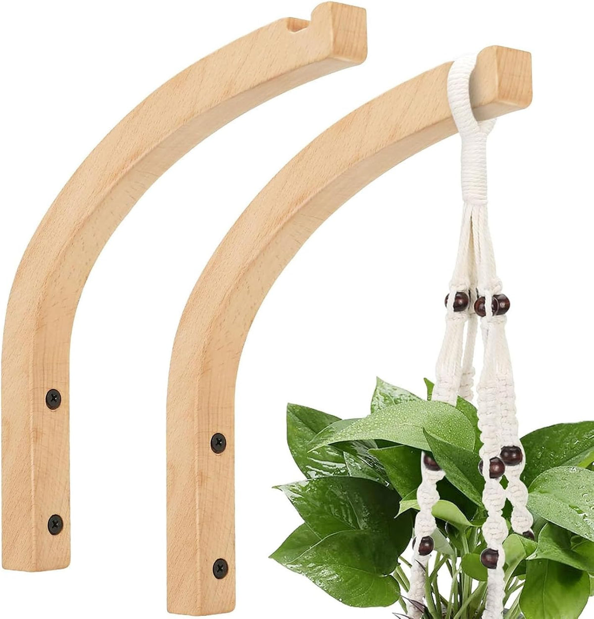 2 Pack 8 Inch Wall Mount Plant Hanging Hooks