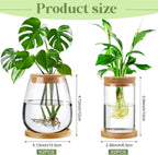 Layhit 4 Pcs Plants Propagation Stations vases Glass Planters with Wooden Lid and Bamboo Stand for Hydroponic Plants Gardening Gifts for Women Mom Home Office Tabletop Decoration(Classic Style)