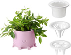 TOPOLA 5.2 Inch Hydroponic Happy Face Planter with 3 Interchangeable Grow Baskets, Water Culture Pot for Pothos, Lucky Bamboo & Plant Propagation, Decorative Desktop Planter for Home & Office, Sakura