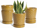 Ceramic Plant Pots, 5 Inch Planters with Drainage Holes and Ceramic Tray, Relief Design Flower Planter, Desktop Office Windowsill Decoration Gift Set of 4 - Deep Yellow