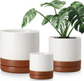 vancasso Ceramic Pots for Plants, Plant Pots for Indoor Plants, 6.25+8.25+10.25 Inch Ceramic Planters, Flower Pots with Drainage Holes, Planters Pot for Indoor House Plant, Set of 3, Khaki