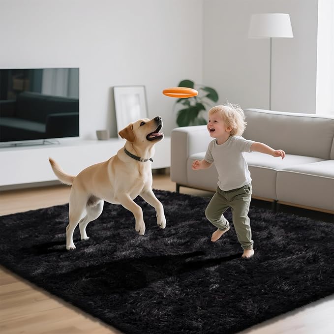 Shag Area Rugs for Bedroom Living Room, 4X6 Ultra Soft Fluffy Area Rugs for Dorm - Image 2