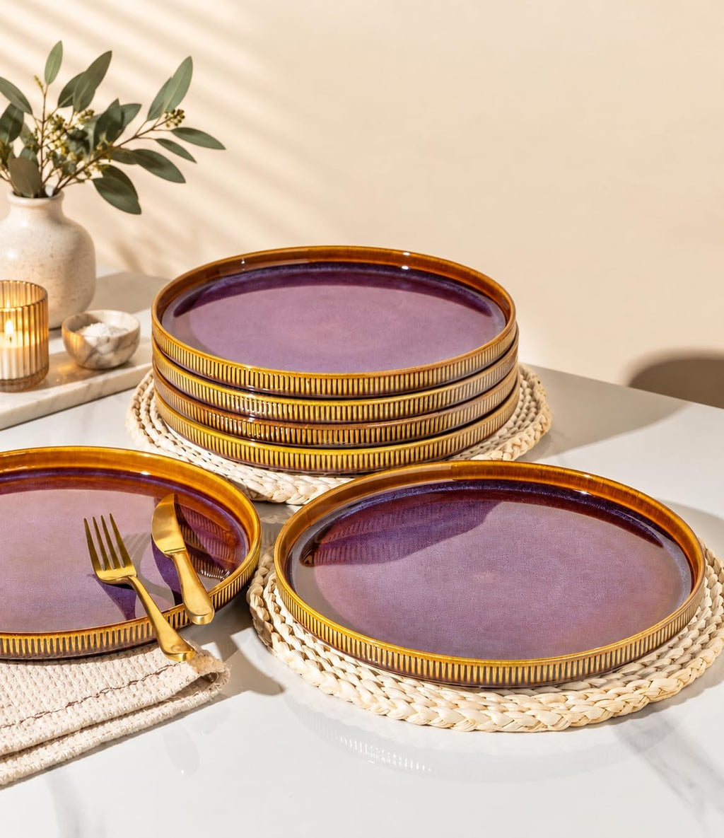 Ceramic Dinner Plates Set of 6, 10.25 Inch Dinnerware Plates