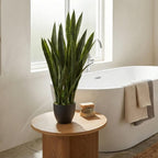 Nearly Natural 35in Artificial Snake Plant with Black Planter