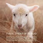 Ashler Faux Fur Rug: Ultra Soft, Fluffy Shaggy 2 x 3 Feet Rectangle, Blush Pink - Image 8