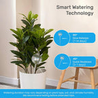 Plant Watering Globes 4 Pack – Self Watering Bulbs for Plants, 200ml Medium