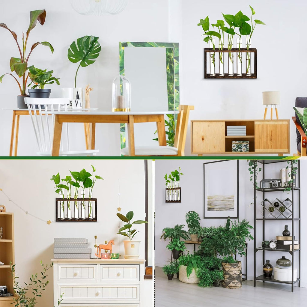 XXXFLOWER 5Test Tube Plant Propagation Station Plant Terrarium Wooden Stand