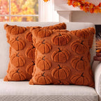 Fall Pillow Covers Pumpkin Fall Decor 18x18 Set of 2 Caramel