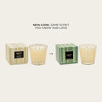 NEST New York Scented 3-Wick Christmas Tree Candle, Birchwood Pine