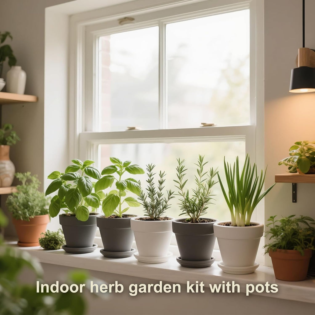 10 Indoor Herb Garden Kit, 33-Piece Complete Kitchen Herb Starter Set