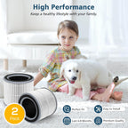 2 Pack Filter Replacement for Hynik Alviera HH001 Air Puri-fier