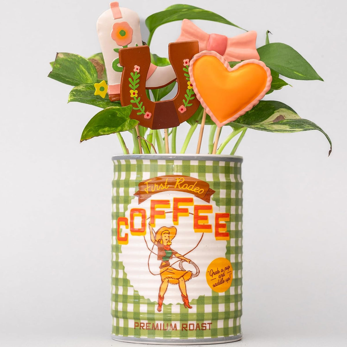 ban.do Decorative Plant Stakes for Pots, Cowgirl Icons