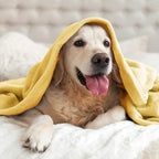 BEDELITE Fleece Blanket Cream Yellow Throw Blankets - Image 8