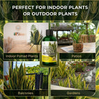 Professional Liquid Snake Plant Fertilizer 3-1-2 Concentrate 8 oz, Premium Snake Plant Food for Indoor Plants, Liquid Fertilizer for Snake Plants and Houseplants, Made in USA
